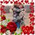 Michelle Ellen Sneed McDonald's profile image