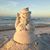 Deborah Swanson's profile image