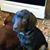 Debbie Buss's profile image