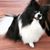 Stacie Ringier's profile image