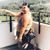 Sandy Ratsachak Johnson's profile image