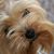 Fred Farkle's profile image