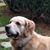 Donna Williams's profile image