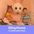 Jennifer Shirley Wyatt's profile image