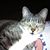 Carlos Sanchez's profile image
