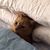 Sherrie Vadnais Adis's profile image