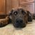 Kevin Mosher's profile image