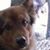 Karen Wawak's profile image