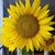 Kimberly Grammer's profile image