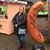 Jennie Baumback's profile image