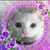 Rena' Williams's profile image