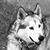 Leta Weidrich Tupa's profile image