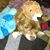 Mande Tryall's profile image