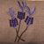 Denise Revel's profile image