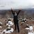 Jennifer Polychronopoulos-Pontes's profile image