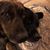 Sherrill Pate Dunn's profile image