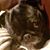 Steve Jahnke's profile image