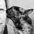 Stacy Klement's profile image