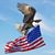 Tom Chlystun's profile image