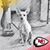 Troy M Zierer's profile image