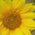 Krista Johnson's profile image