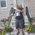 Jeannine Tokar's profile image