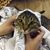 Zeid Haddad's profile image