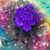Bertha Bikulcs's profile image