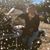 Rocio Lopez Gaxiola's profile image