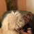 Jeanne Greisen Polden's profile image