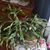 Darlene Viola Luden Haddix's profile image
