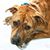Melissa Smith's profile image