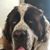 Michaelene Flores's profile image