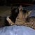 Christina Frye's profile image