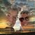 Lori Mondello's profile image
