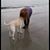 Terrie Riley's profile image