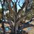 Cindy Moseley Fleming's profile image