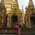Edwina Tun's profile image