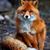 Kim Bigelow Welliver's profile image