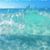 Lisa Turner's profile image