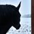 Candy Brownell Below's profile image