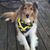 Wilma Shur Billow's profile image