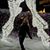 Ashley Nicole Clark's profile image