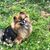 Debby Ware's profile image