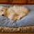 Patty James Dudek's profile image