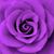 Momof Kindredand Gracyn's profile image