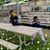 Abbas Abbas A's profile image