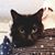 Renee Beckrich's profile image