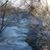 Darlene A. Jefford's profile image