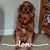 Terri Snyder Frank's profile image